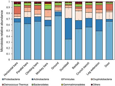 Surfaces of gymnastic equipment as reservoirs of microbial pathogens with potential for transmission of bacterial infection and antimicrobial resistance